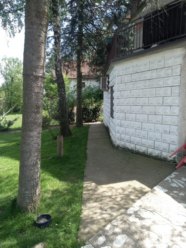 Avala, kragujevacki put. 200 m2, uknjizena 130.000 e